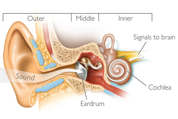 نشانه های رایج و علائم کم شنوایی